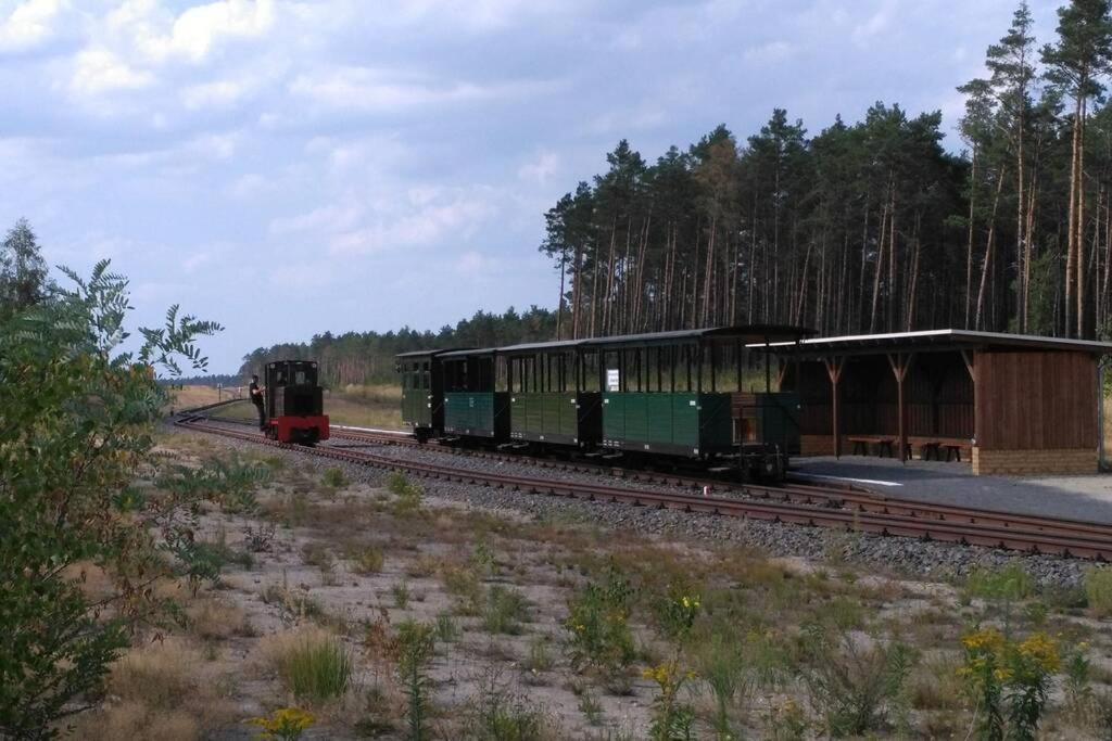 Rietschen, Natur Erleben Екстериор снимка